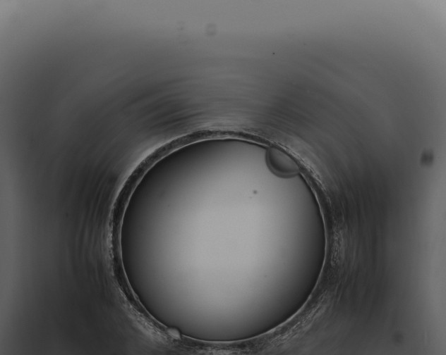 X0000097980976200804011741