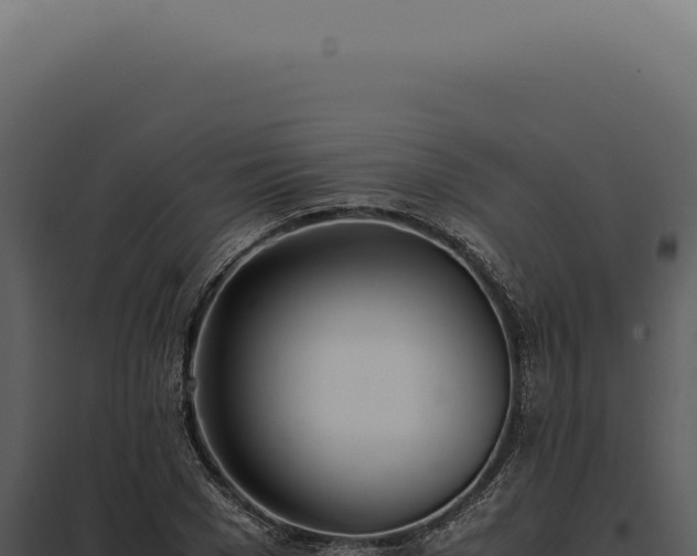 X0000097980977200804011741