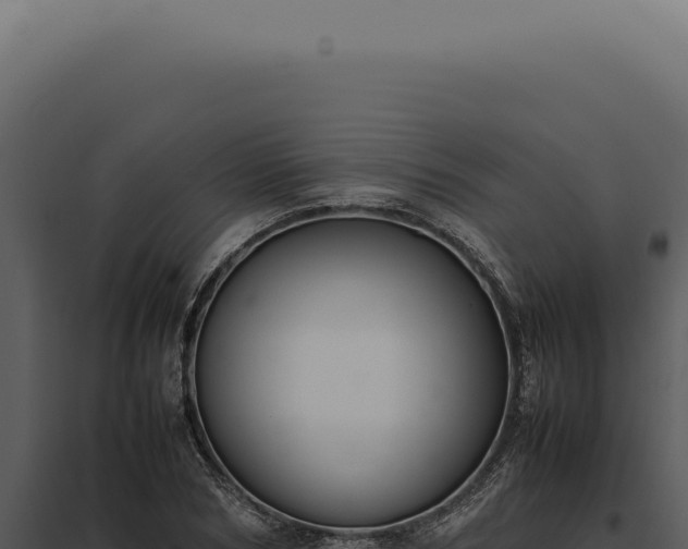 X0000097980978200804011741