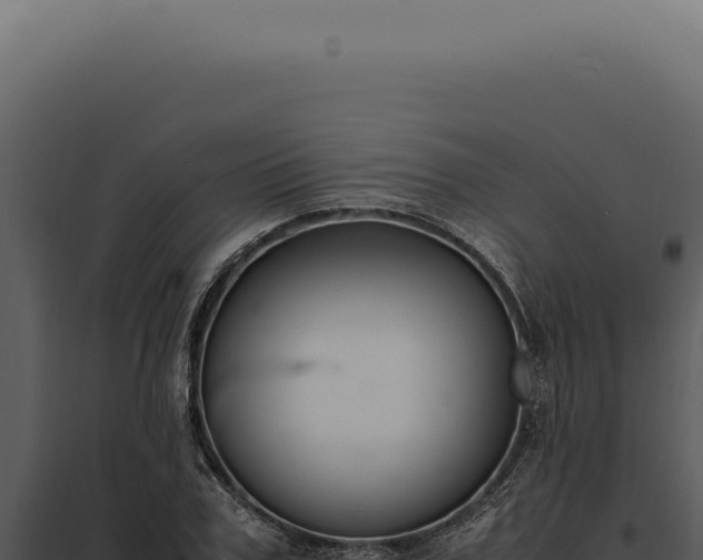 X0000097980979200804011741