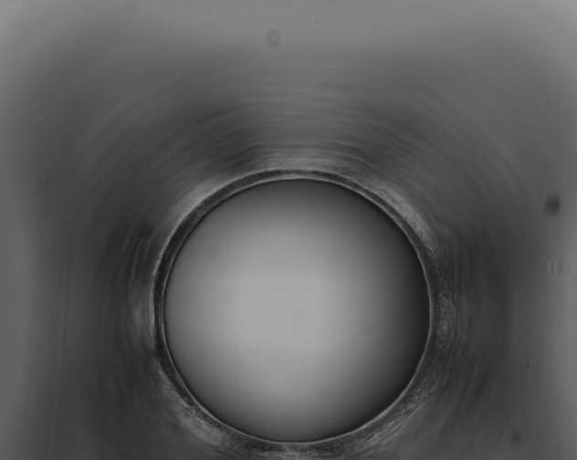X0000097980980200804011741
