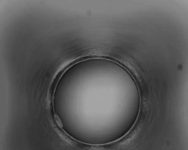 X0000097980981200804011741