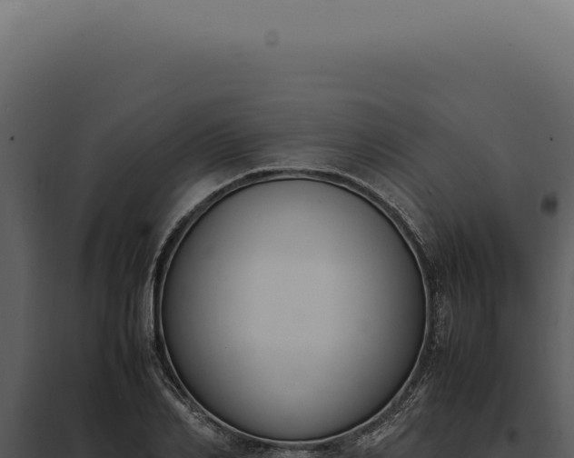 X0000097980982200804011741