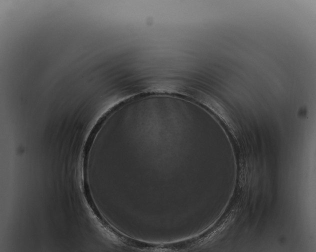 X0000097980984200804011740