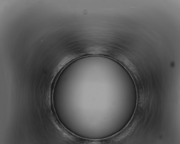 X0000097980986200804011740