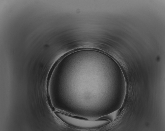 X0000097980988200804011740