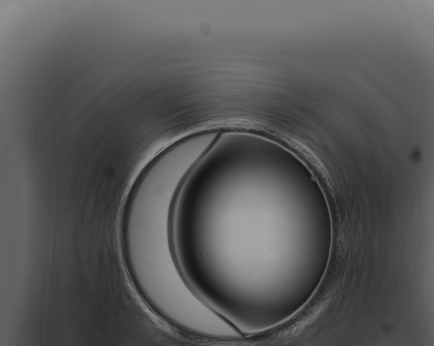 X0000097980989200804011740