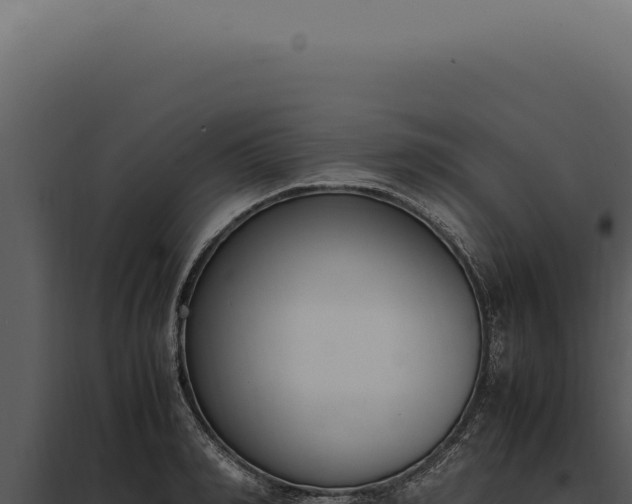 X0000097980990200804011740