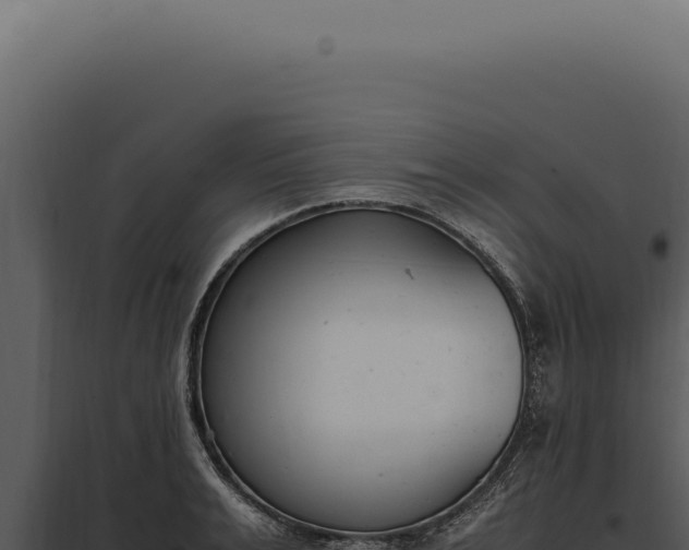 X0000097980991200804011740
