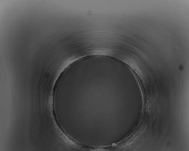 X0000097980992200804011740