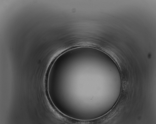 X0000097980995200804011740