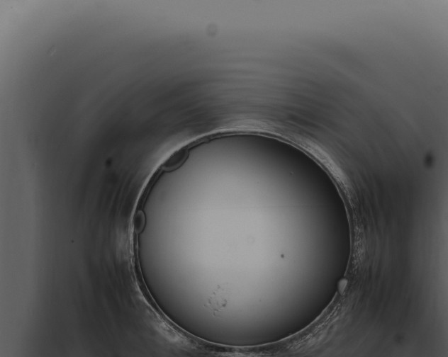 X0000097980996200804011740