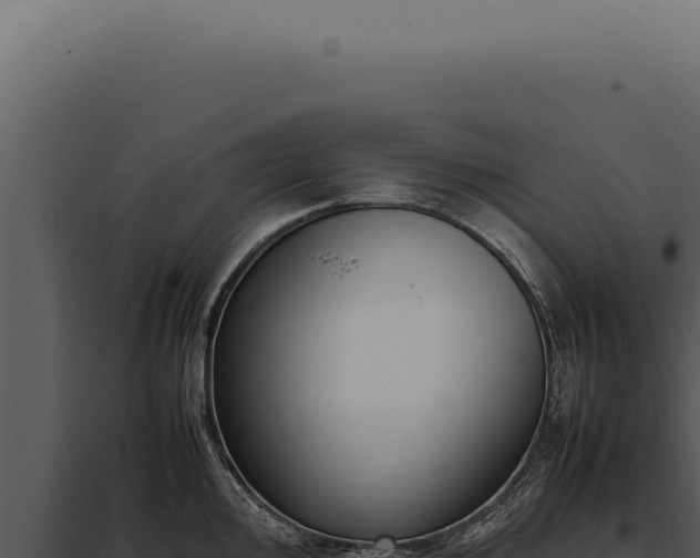 X0000097981000200804011740