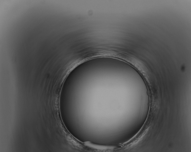 X0000097981001200804011740