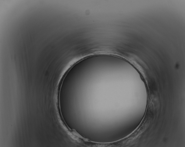 X0000097981005200804011740