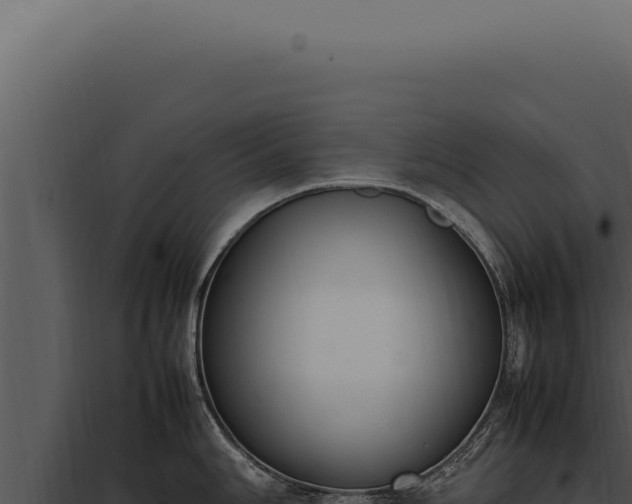 X0000097981006200804011740