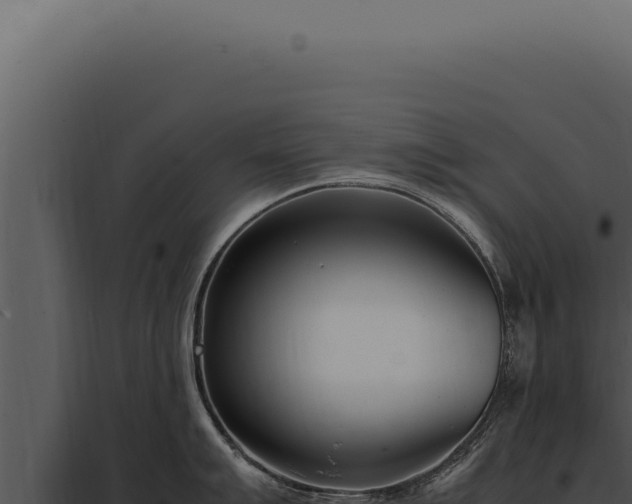X0000097981007200804011740
