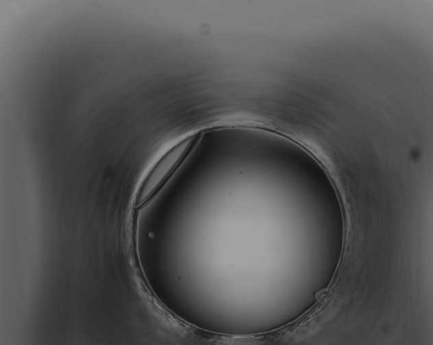 X0000097981008200804011740