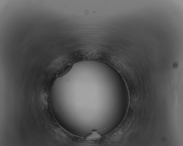 X0000097981010200804011739