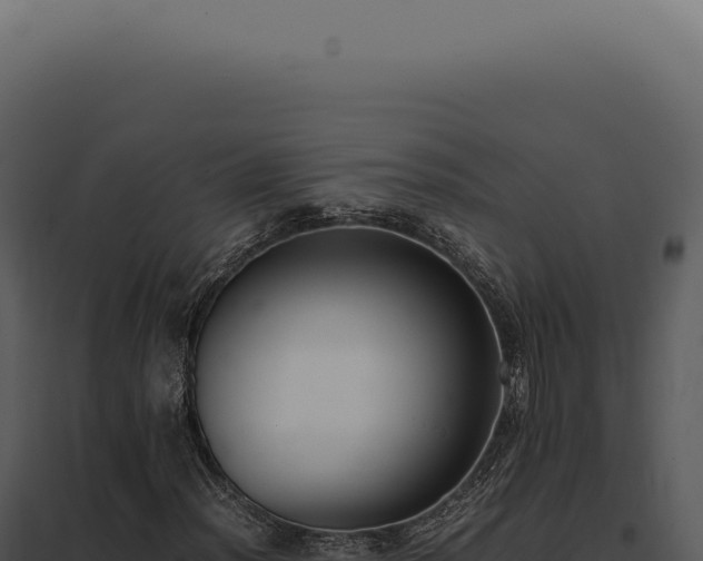 X0000097981012200804011739