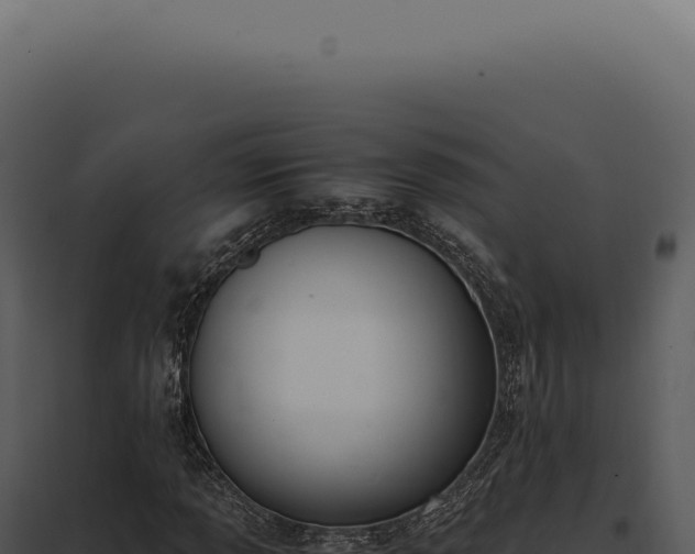 X0000097981013200804011739