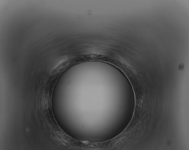 X0000097981014200804011739