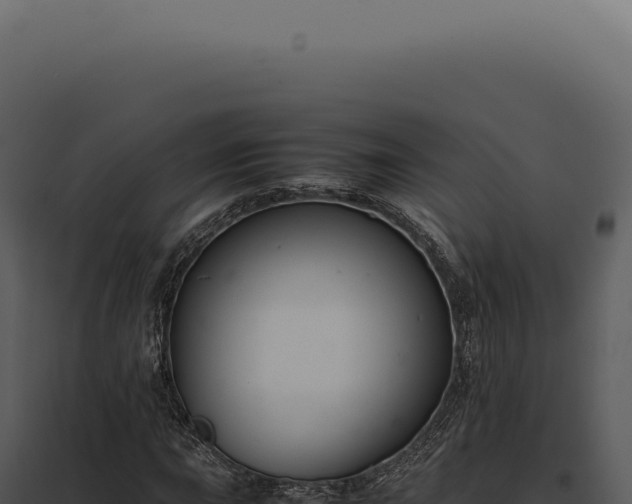X0000097981015200804011739