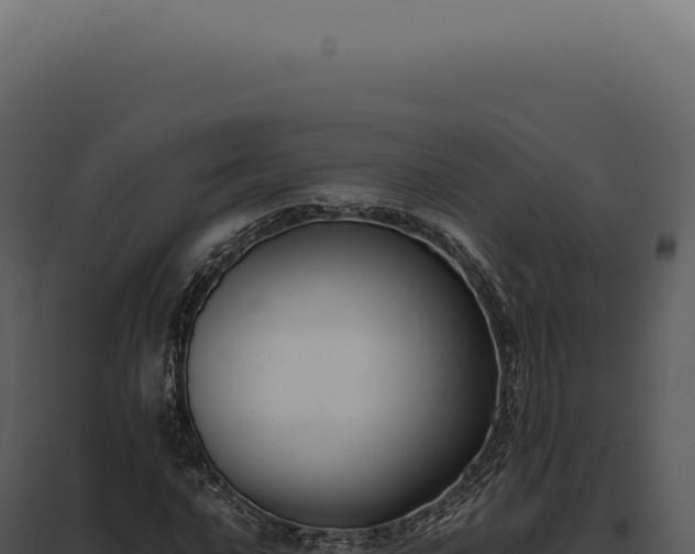 X0000097981016200804011739