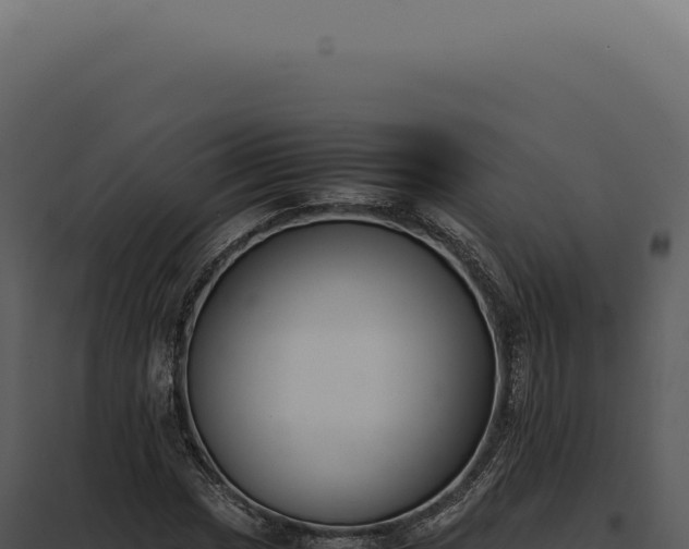 X0000097981017200804011740