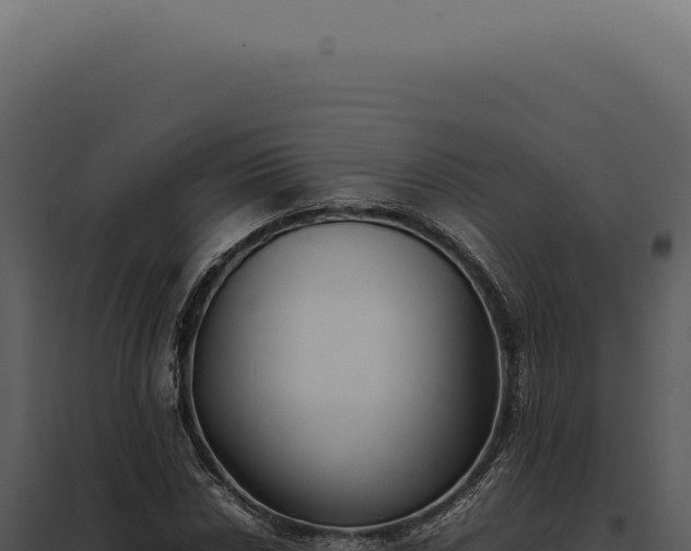 X0000097981018200804011740