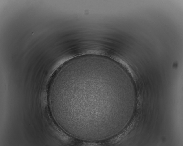 X0000097981019200804011740