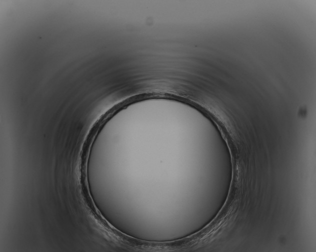 X0000097981020200804011740