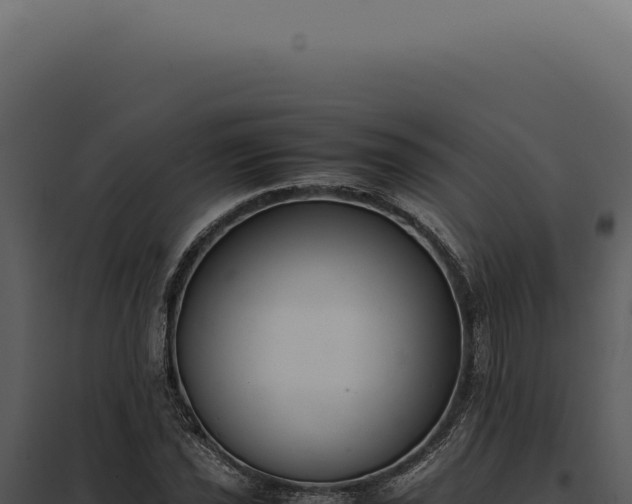 X0000097981021200804011740