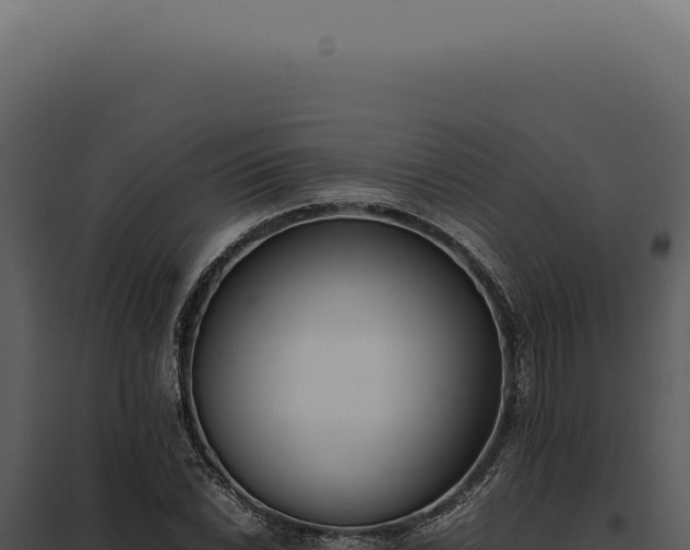 X0000097981022200804011740