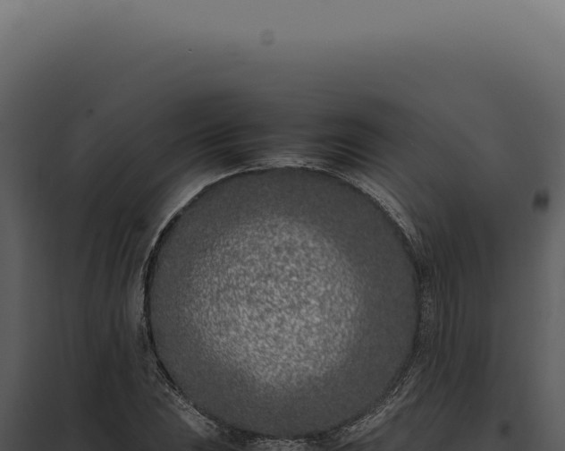 X0000097981023200804011740