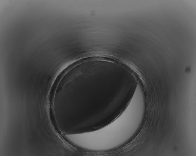 X0000097981024200804011740