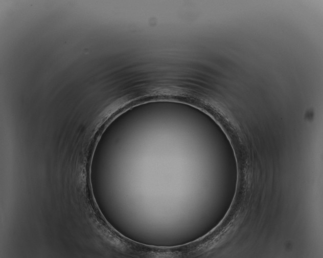 X0000097981025200804011740