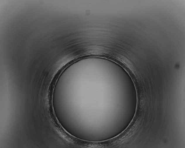 X0000097981026200804011740