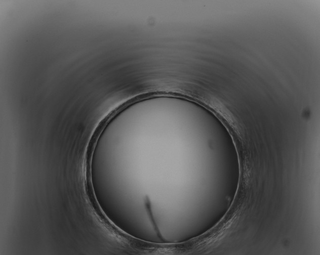 X0000097981028200804011740
