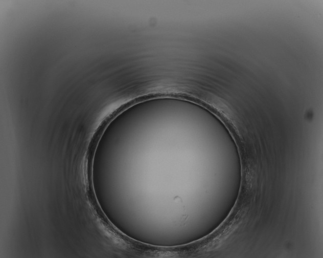 X0000097981030200804011740