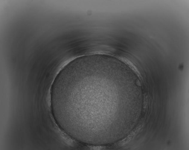 X0000097981031200804011740