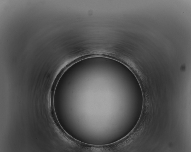 X0000097981032200804011740