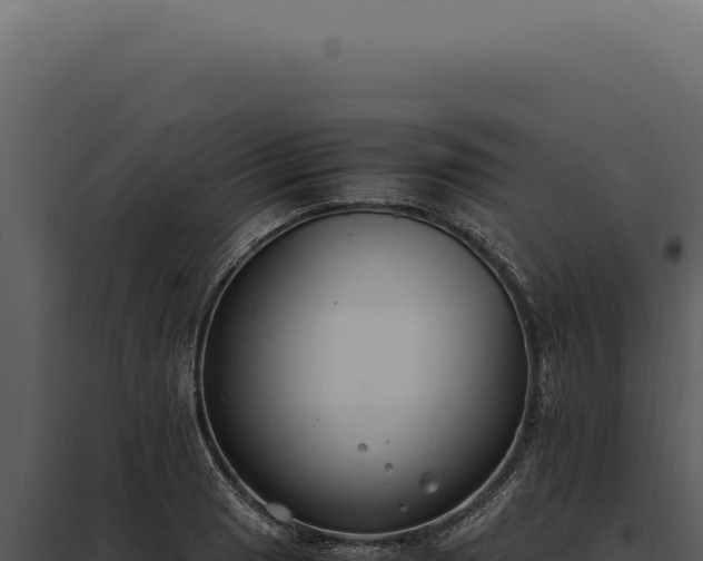 X0000097981033200804011740