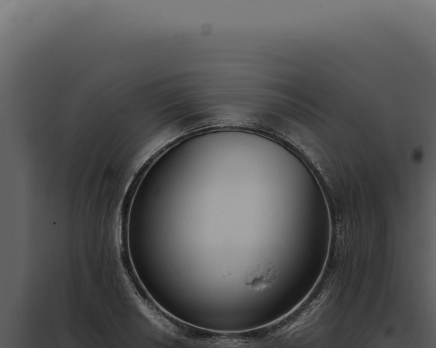 X0000097981034200804011740