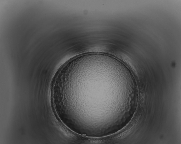 X0000097981035200804011740