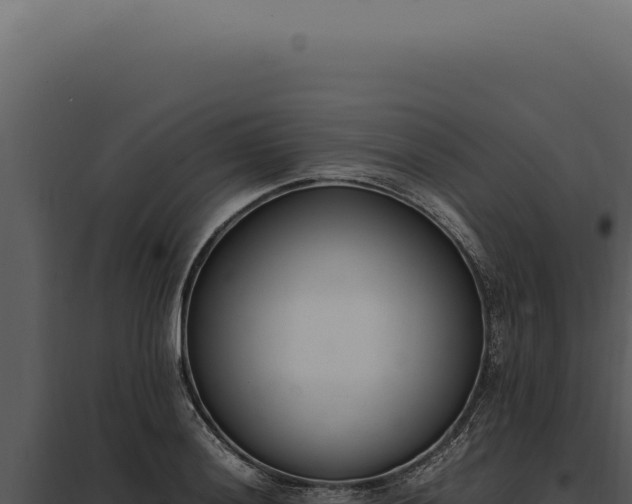 X0000097981036200804011740