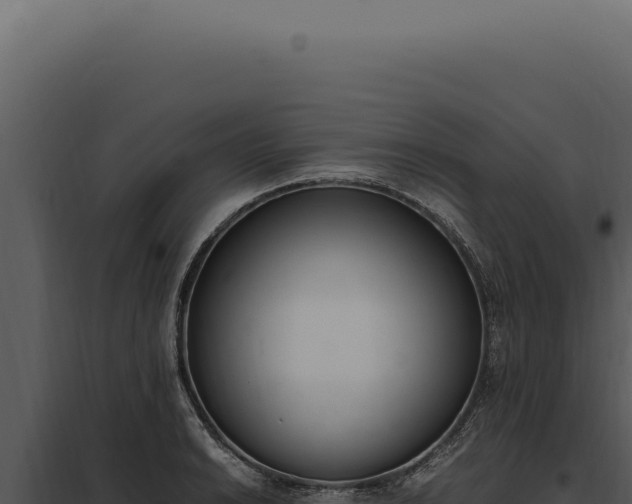 X0000097981038200804011740