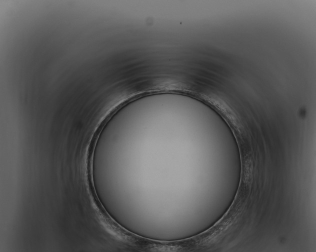X0000097981039200804011740