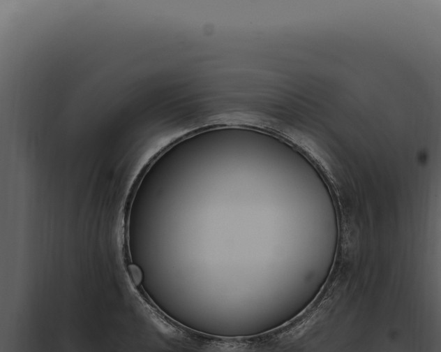 X0000097981040200804011740