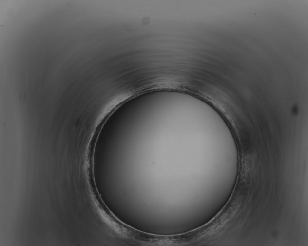 X0000097981042200804011740